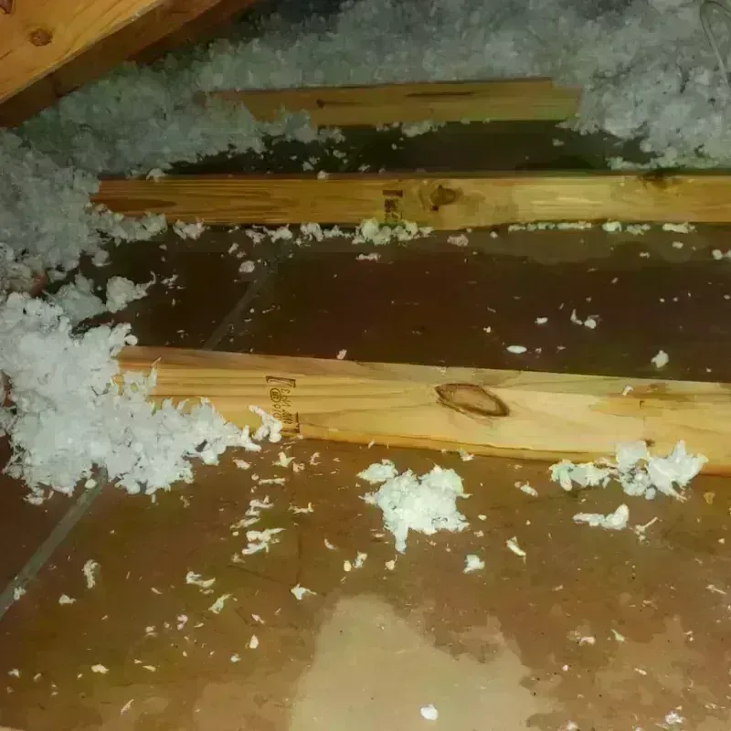 Attic Water Damage in Ellettsville, IN